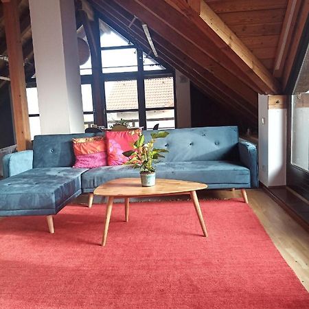Ferienwohnung Zur Kirschblute Purbach am Neusiedlersee Ngoại thất bức ảnh