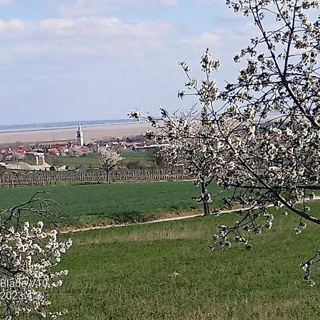 Ferienwohnung Zur Kirschblute Purbach am Neusiedlersee Ngoại thất bức ảnh