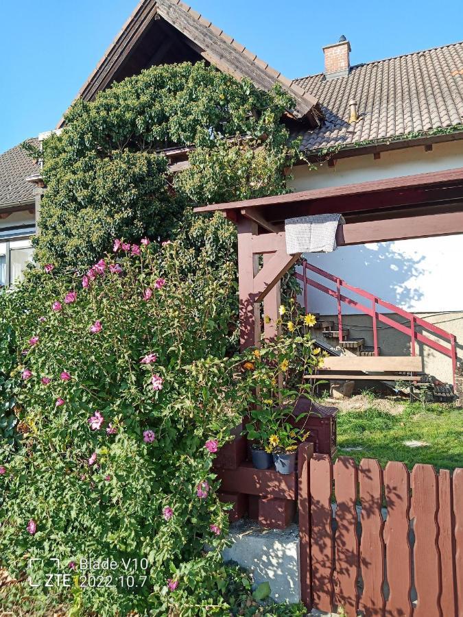 Ferienwohnung Zur Kirschblute Purbach am Neusiedlersee Ngoại thất bức ảnh