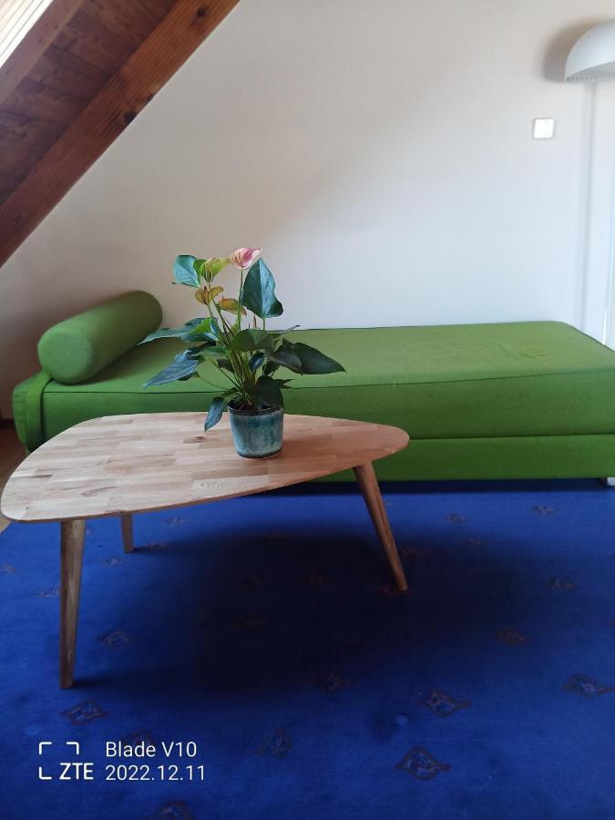 Ferienwohnung Zur Kirschblute Purbach am Neusiedlersee Ngoại thất bức ảnh
