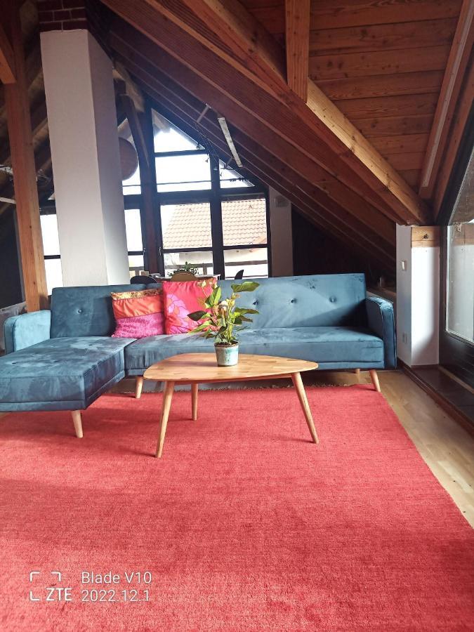 Ferienwohnung Zur Kirschblute Purbach am Neusiedlersee Ngoại thất bức ảnh