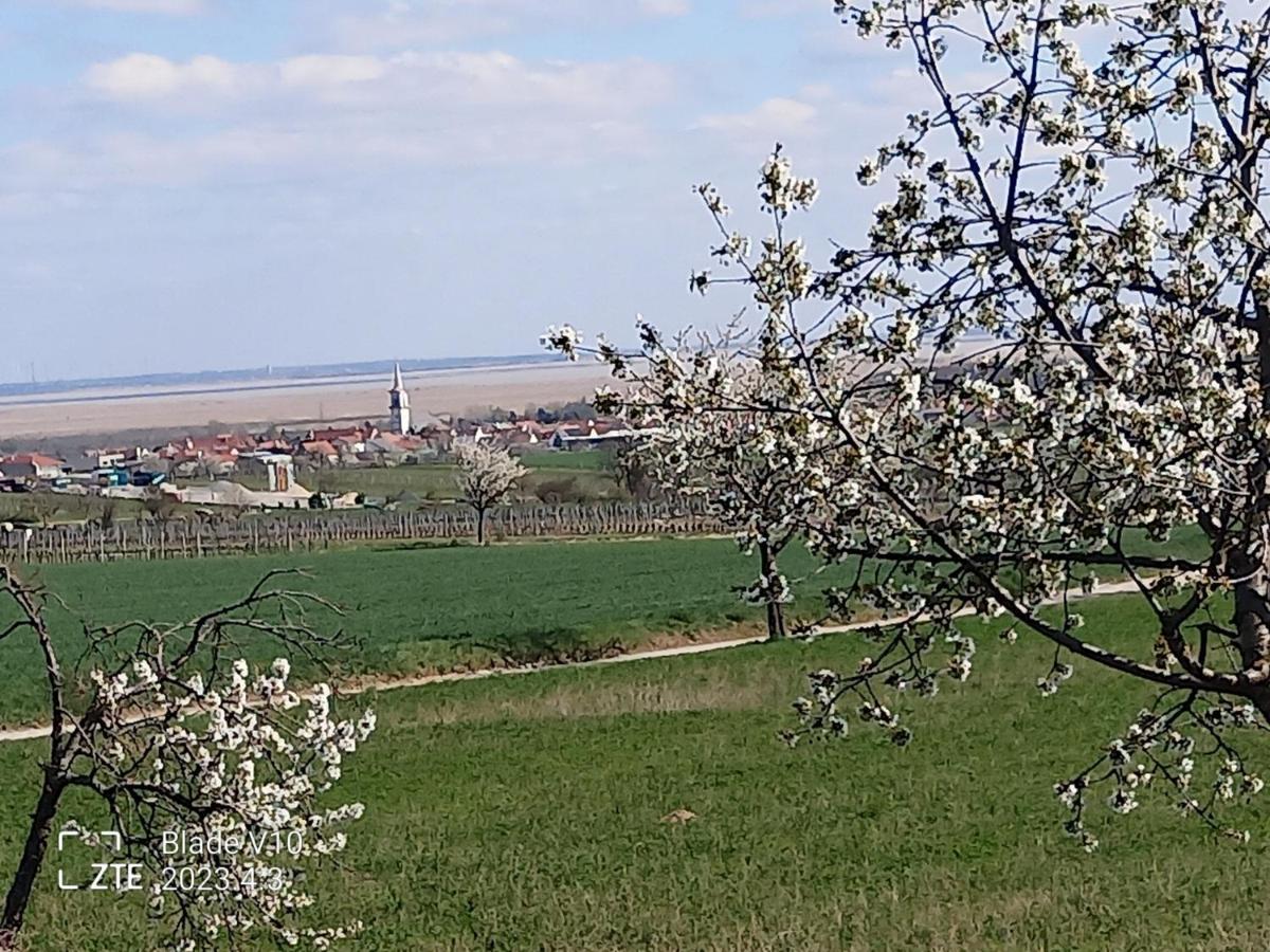 Ferienwohnung Zur Kirschblute Purbach am Neusiedlersee Ngoại thất bức ảnh